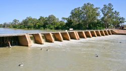 Loxton Branch